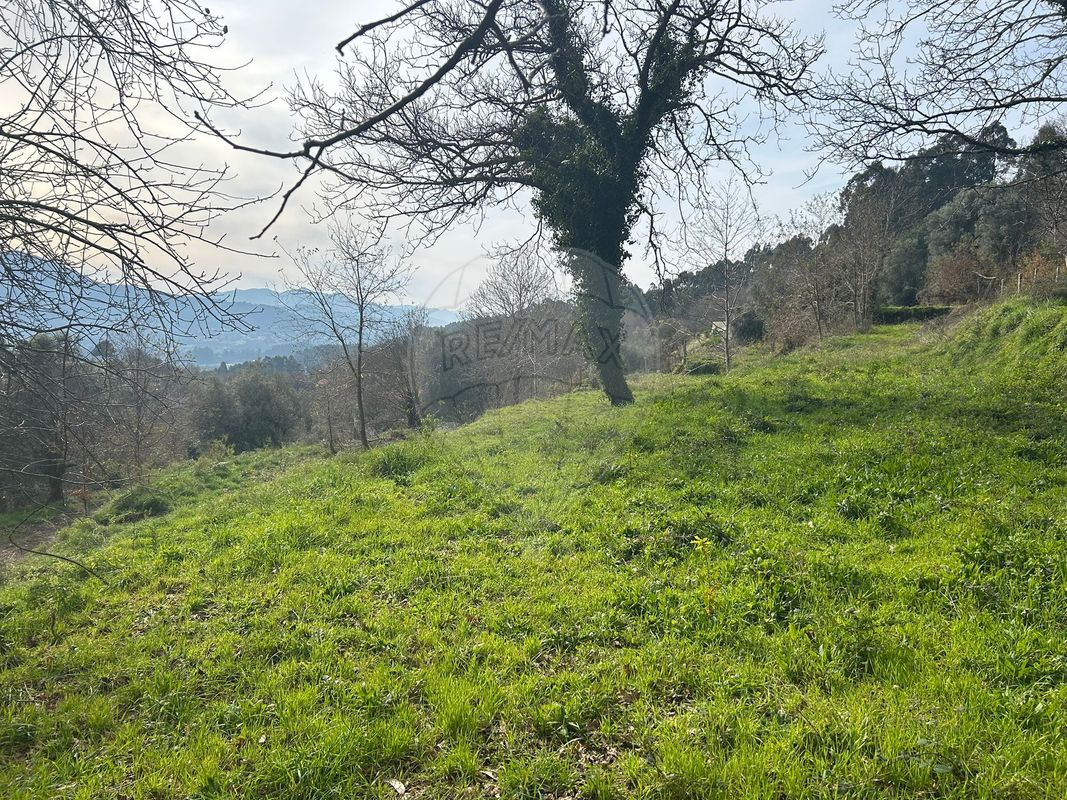 Terreno para venda