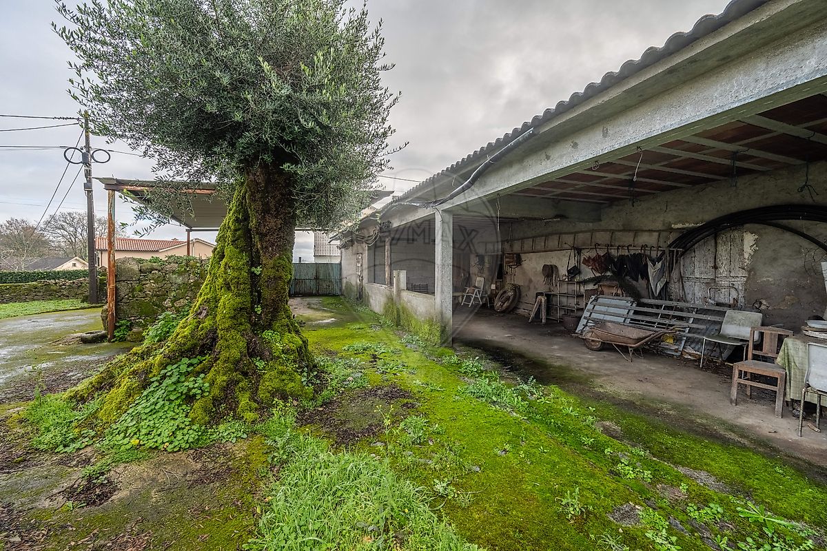 Moradia T0 à venda em Ardegão, Freixo e Mato, Ponte de Lima — foto 21