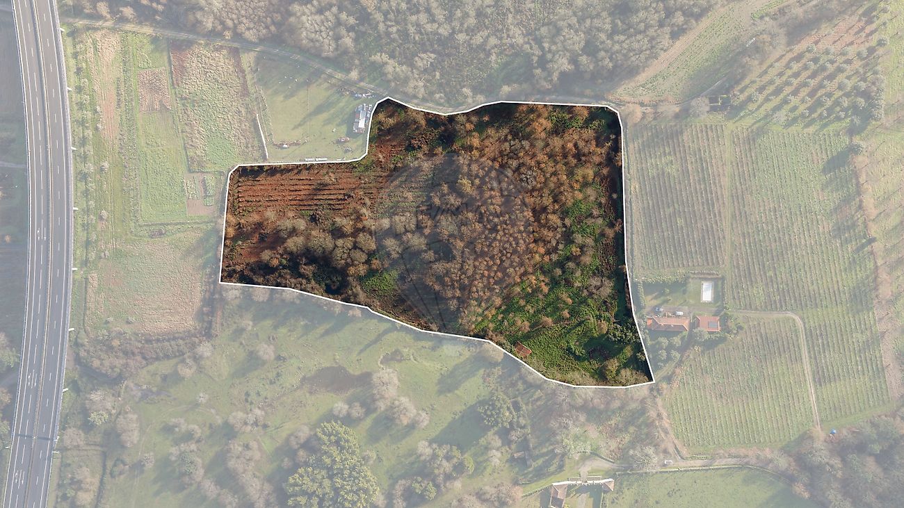 Quinta - Arcozelo, Ponte de Lima, Viana do Castelo