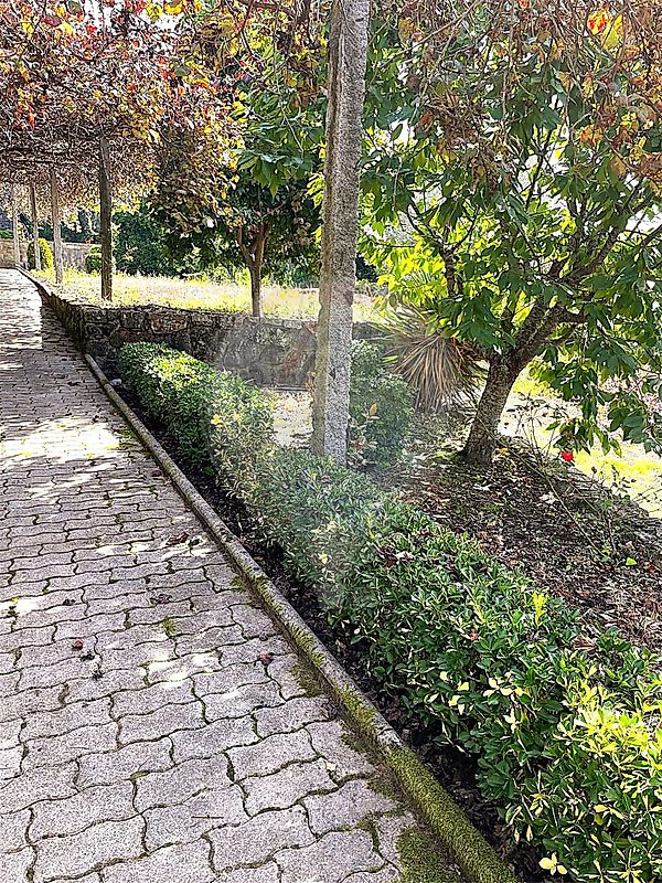 Moradia T0 à venda em Rebordões (Souto), Ponte de Lima — foto 15