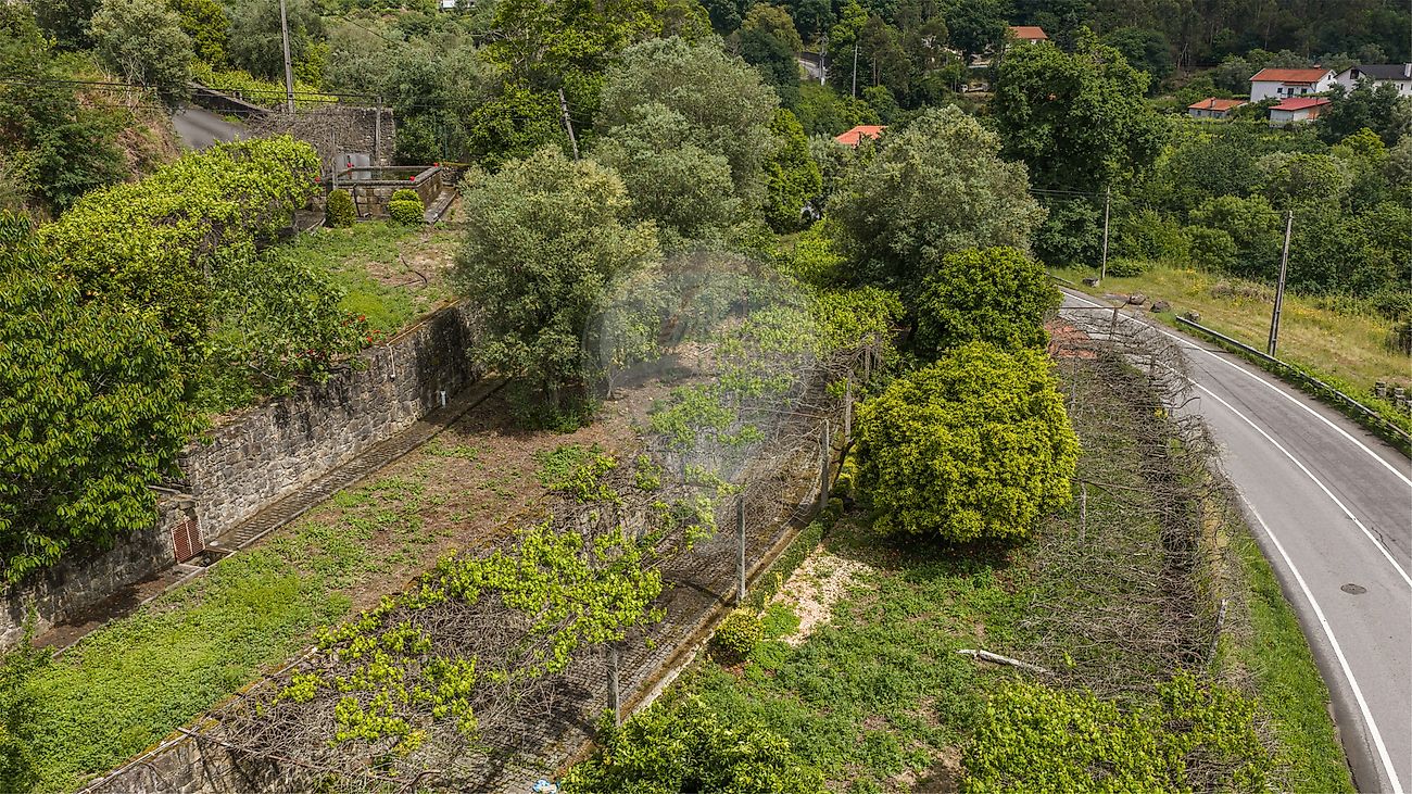 Moradia T0 à venda em Rebordões (Souto), Ponte de Lima — foto 29