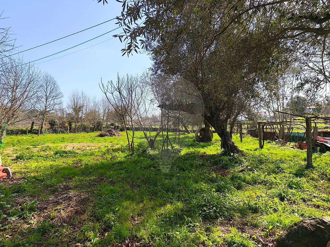 Moradia T4 à venda em Arcozelo, Ponte de Lima — foto 25