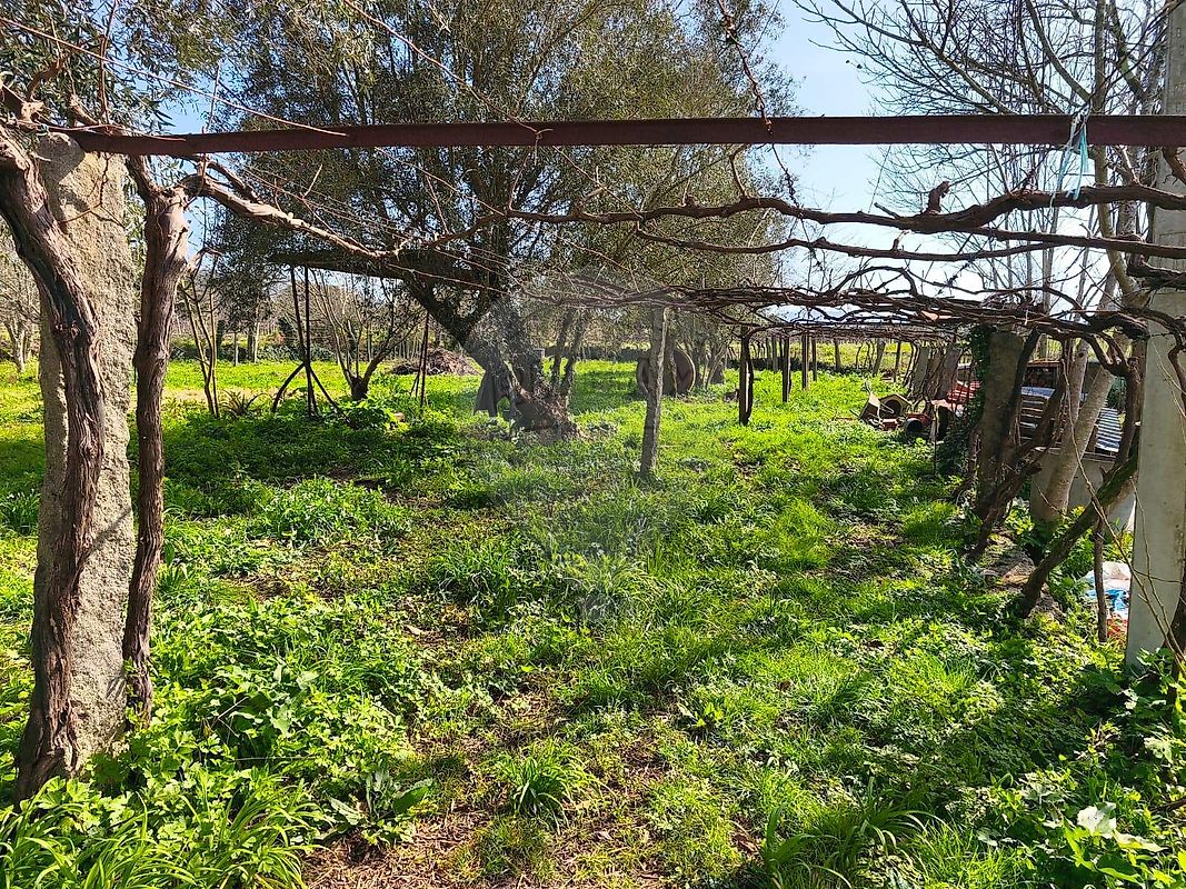 Moradia T4 à venda em Arcozelo, Ponte de Lima — foto 26