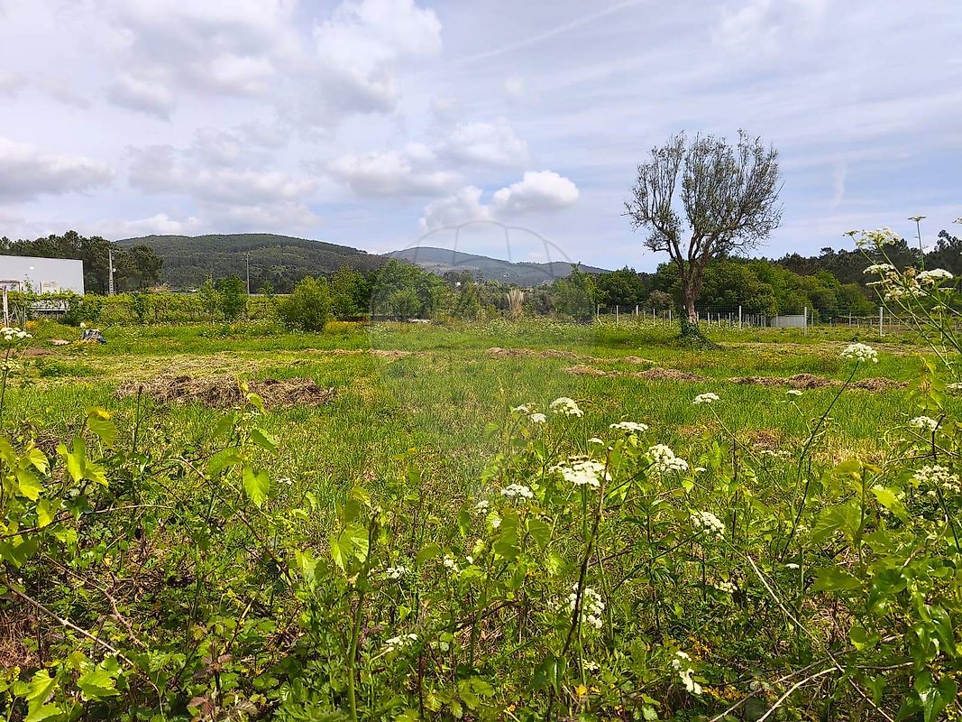 Terreno - Arcozelo, Ponte de Lima, Viana do Castelo