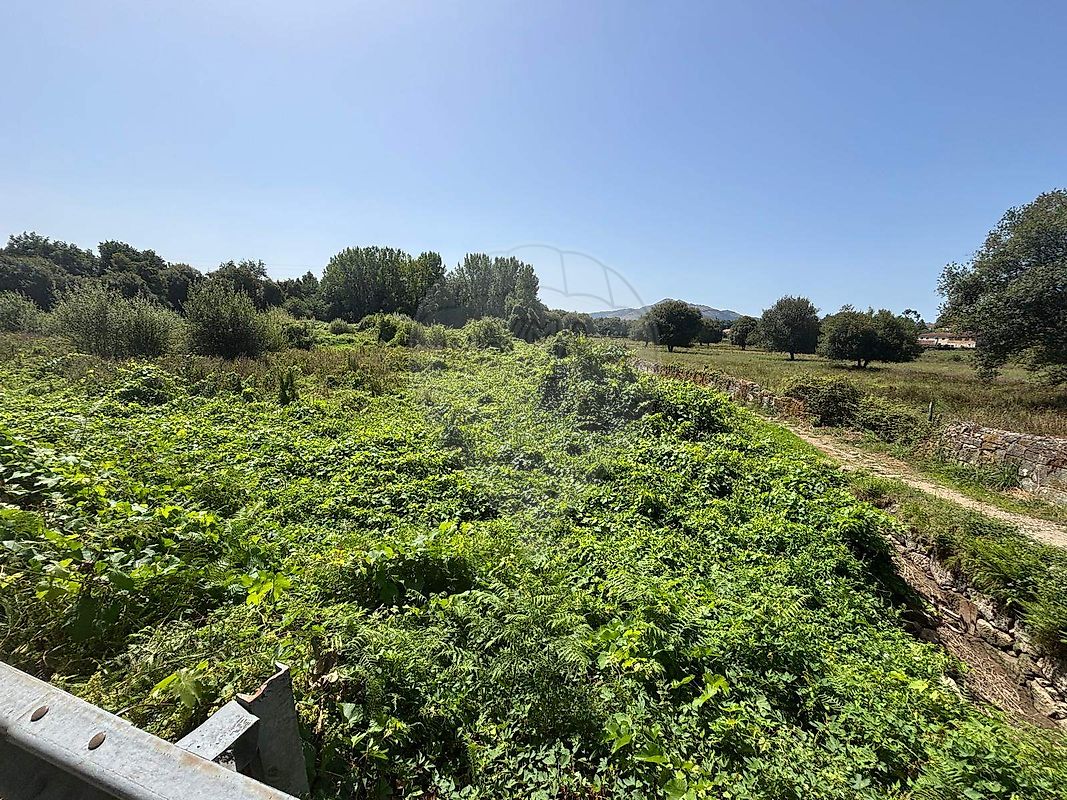Terreno - Arcozelo, Ponte de Lima, Viana do Castelo