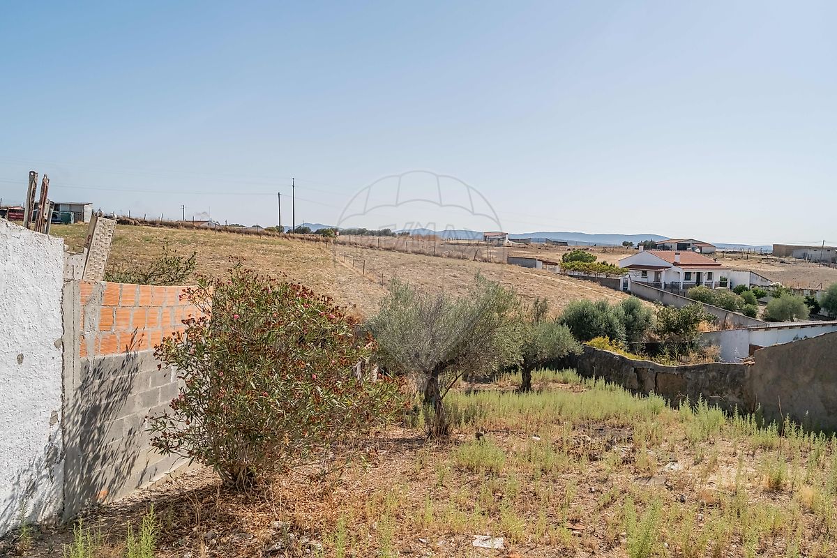 listing 123741346-1 picture-0