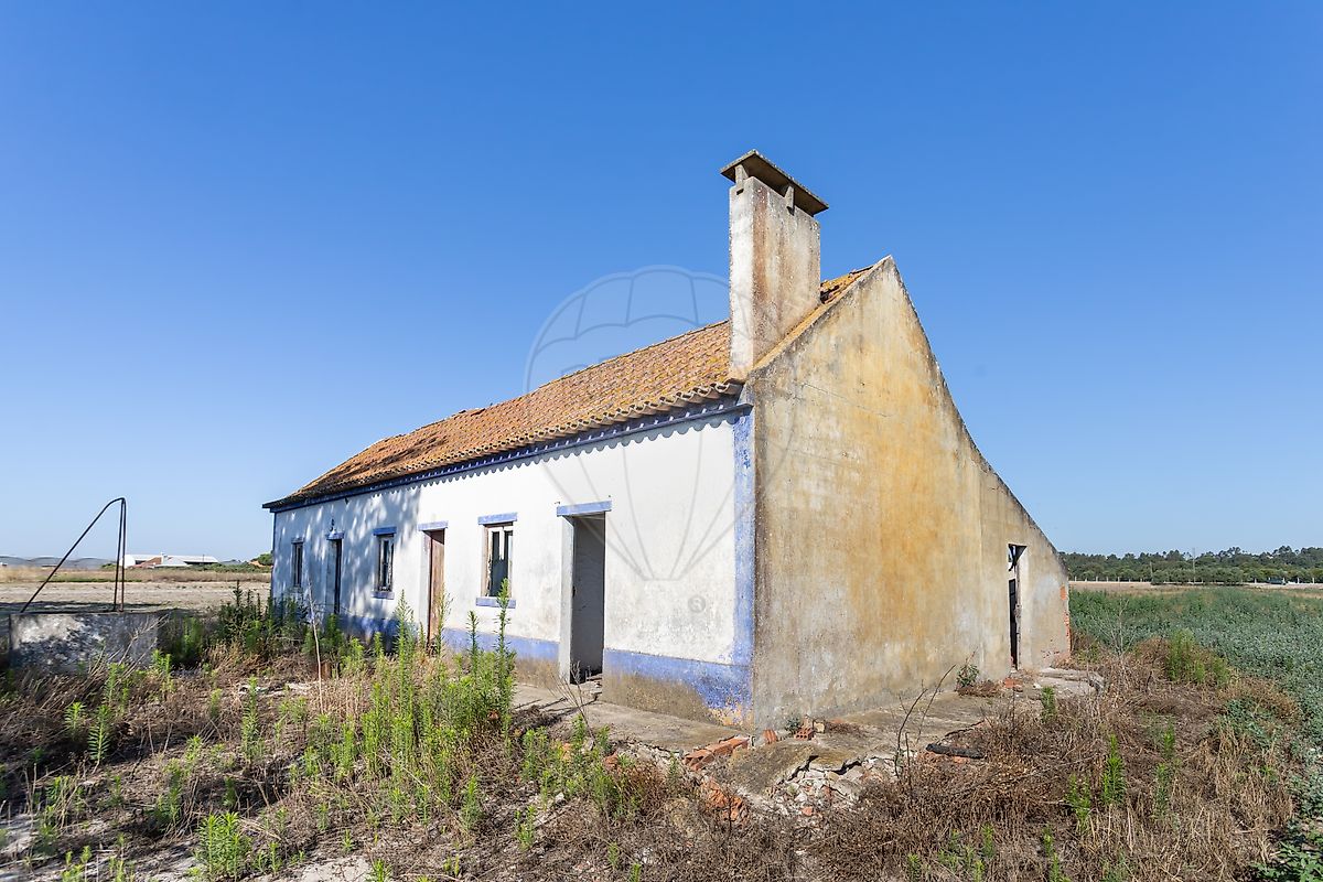 Quinta - Alhos Vedros, Moita, Setúbal