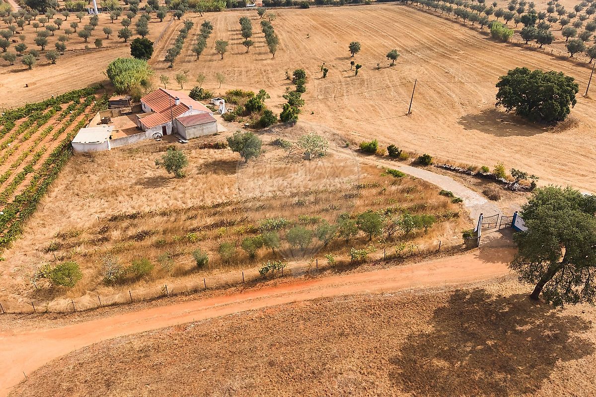 Quinta para venda