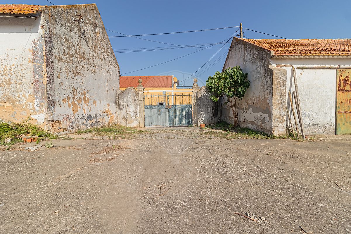 listing 123751480-2 picture-0