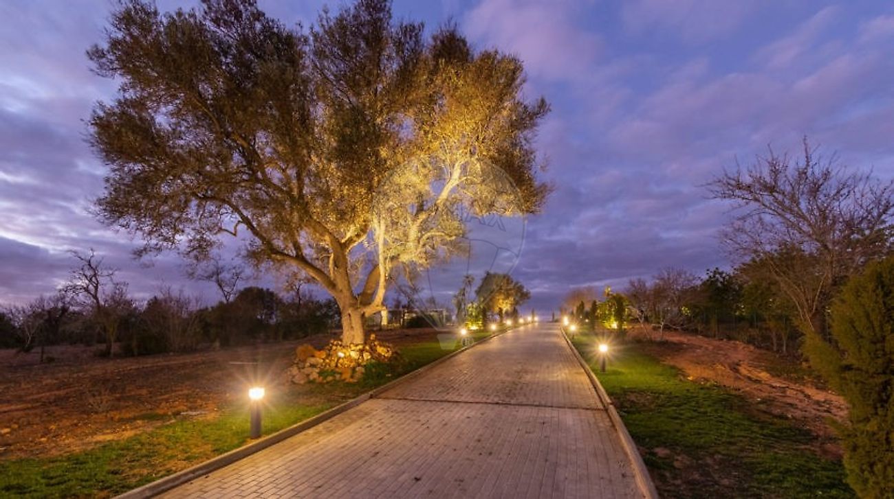 listing 123751366-22 picture-0