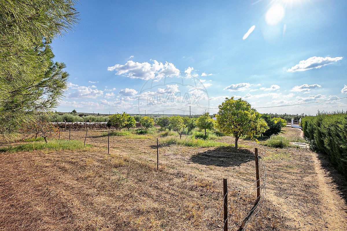 listing 123751564-68 picture-0