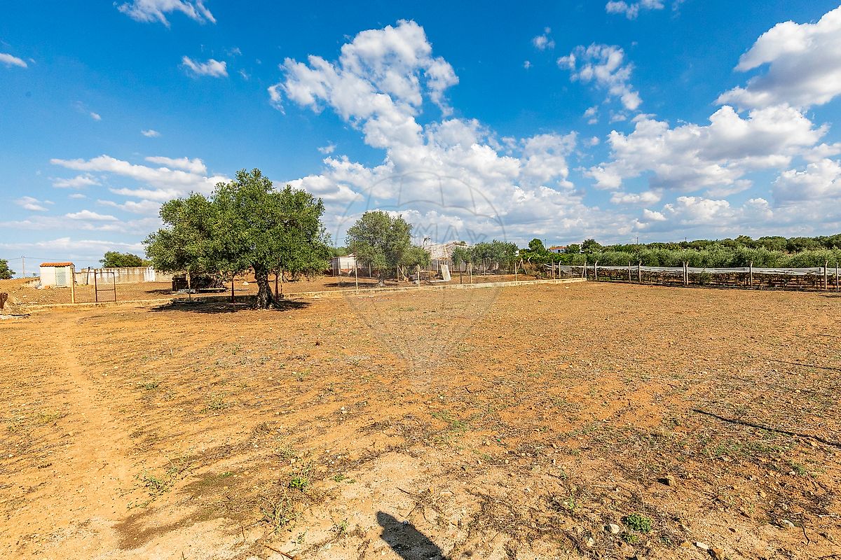 listing 123751564-68 picture-0