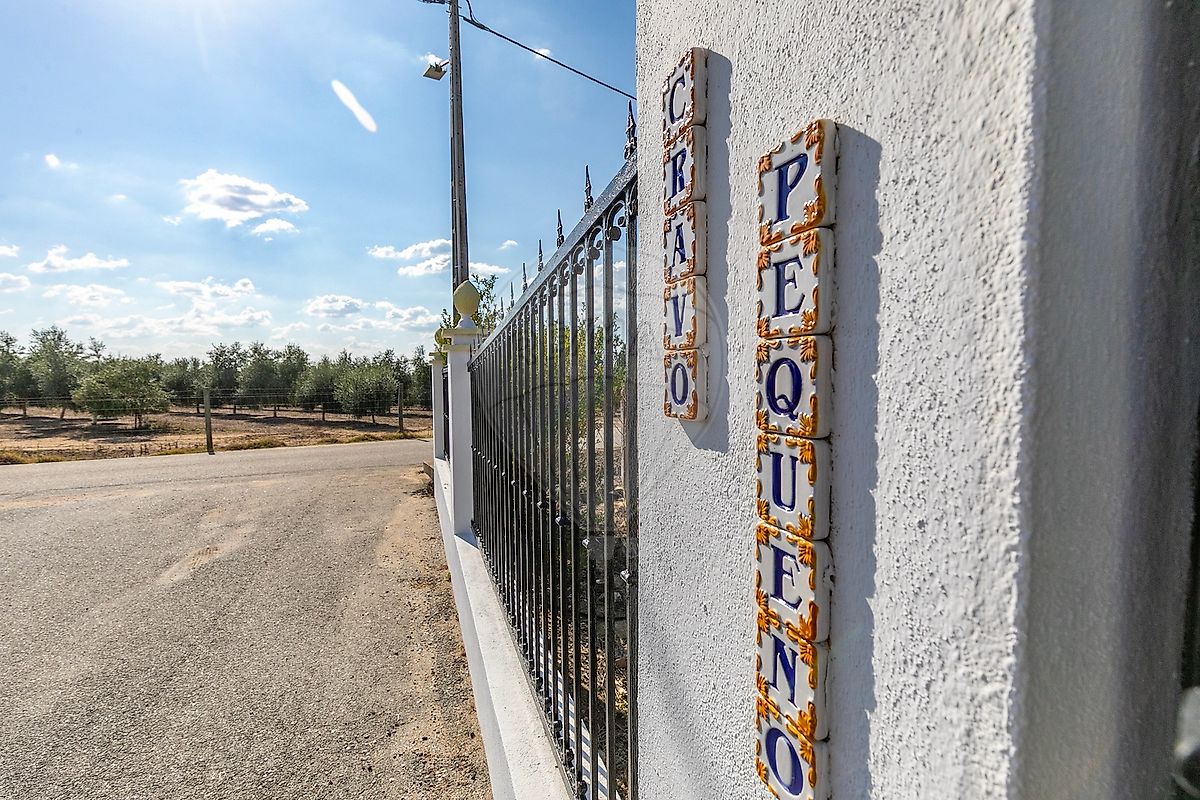 listing 123751564-68 picture-0