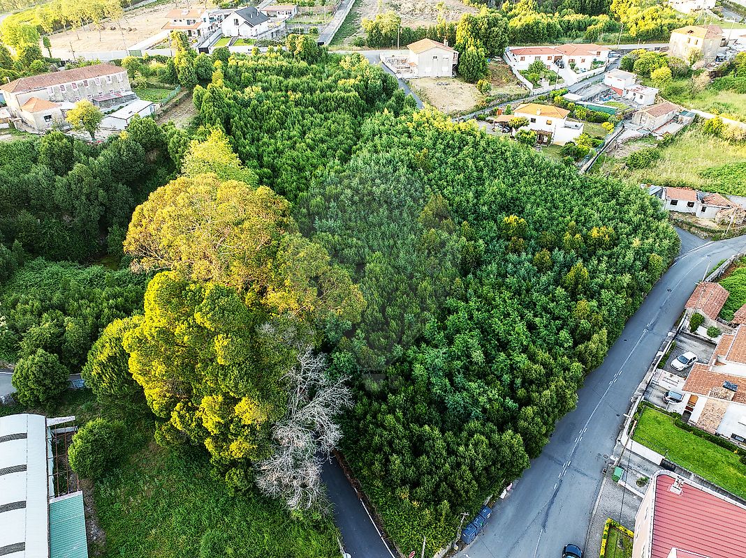 Terreno à venda em Santa Maria da Feira