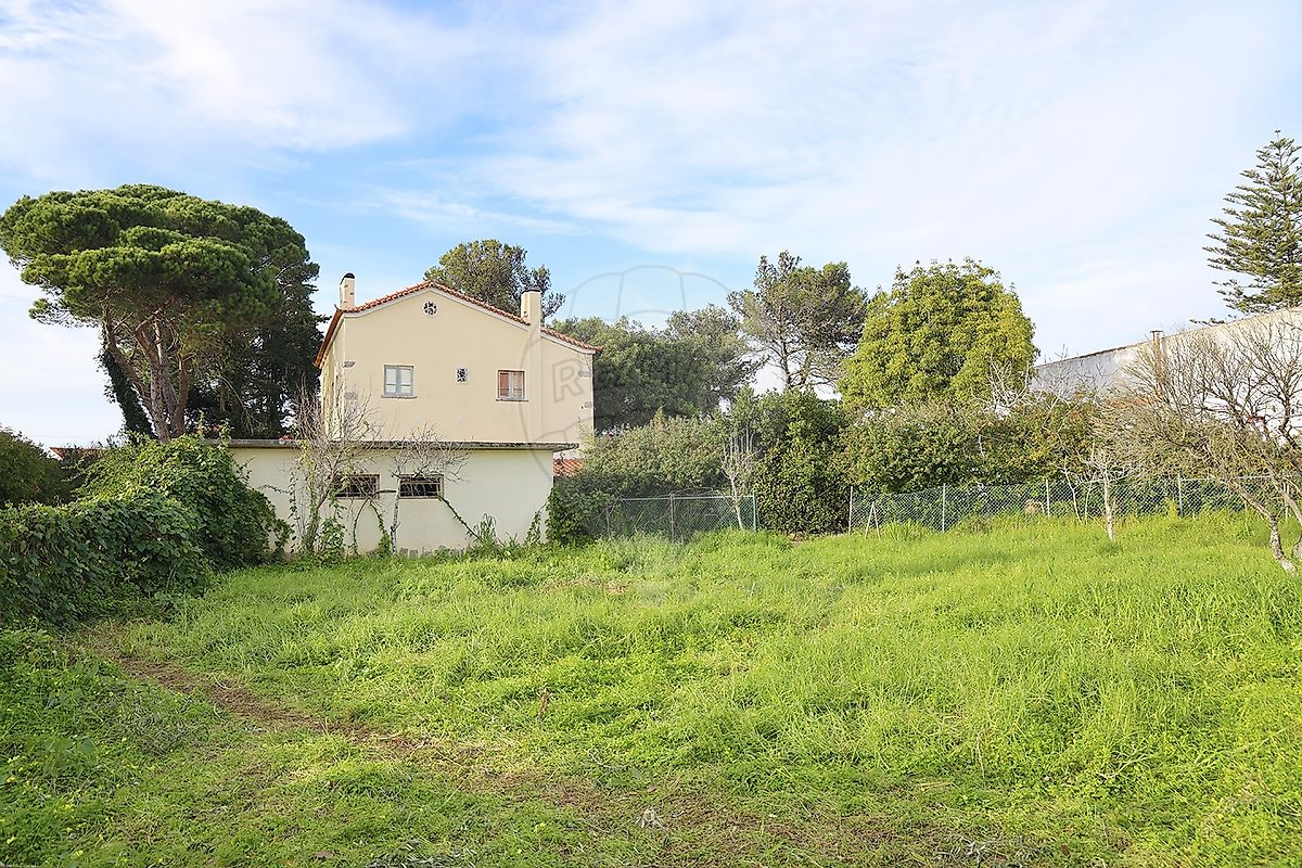 listing-picture-0