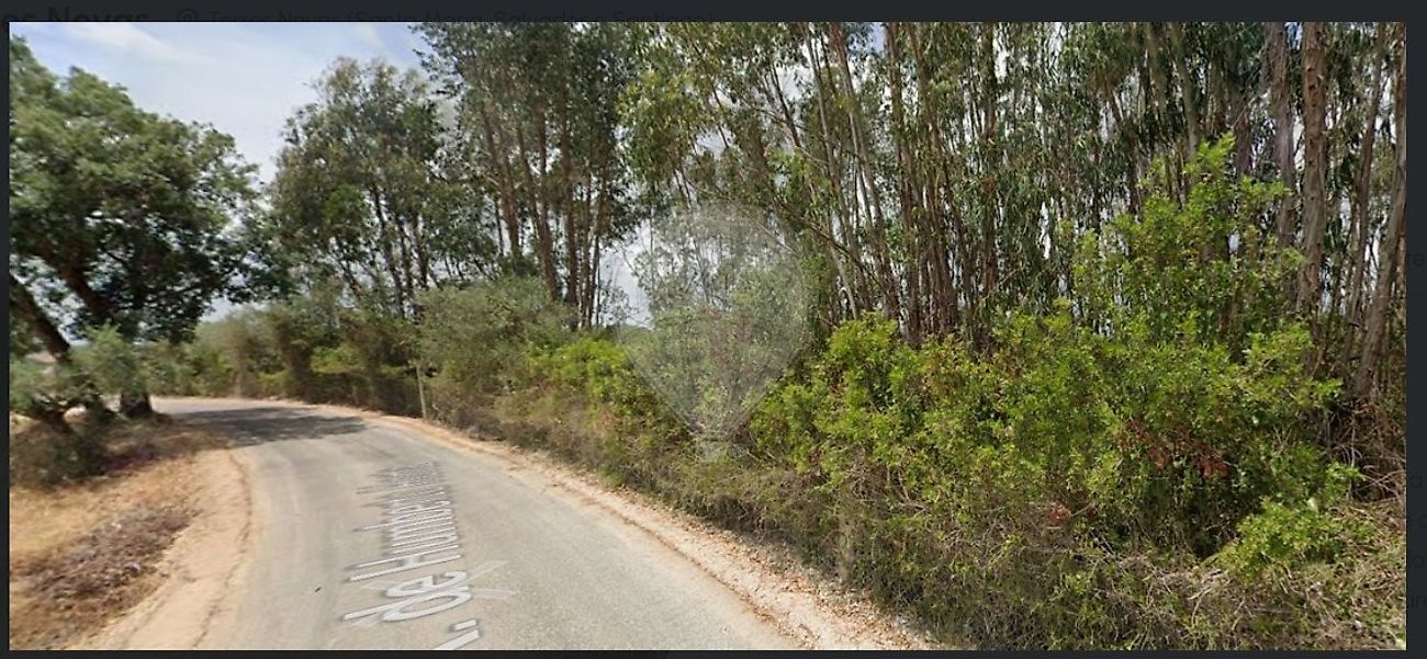 Terreno  à venda em Torres Novas