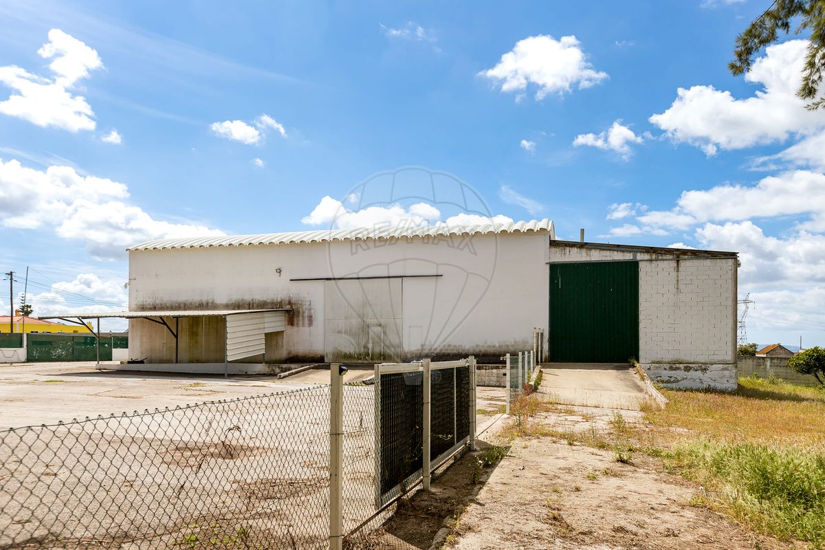 listing-picture-0