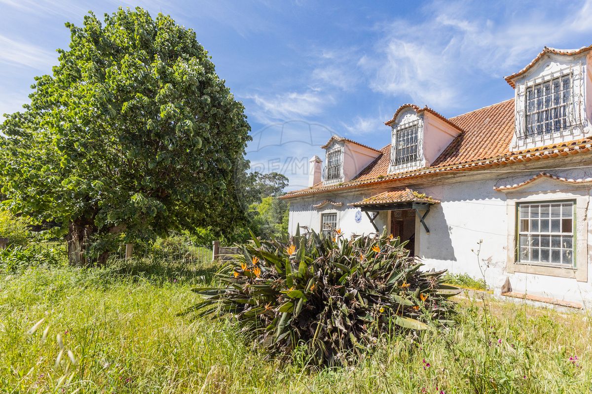listing-picture-0