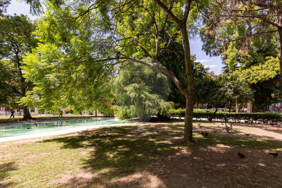 listing 123751550-38 picture-0