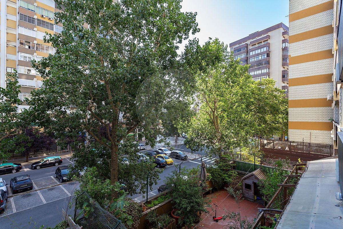 listing 123751128-446 picture-0