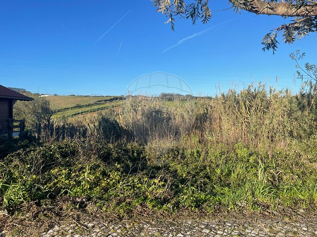 Terreno - Aldeia Galega da Merceana e Aldeia Gavinha, Alenquer, Lisboa