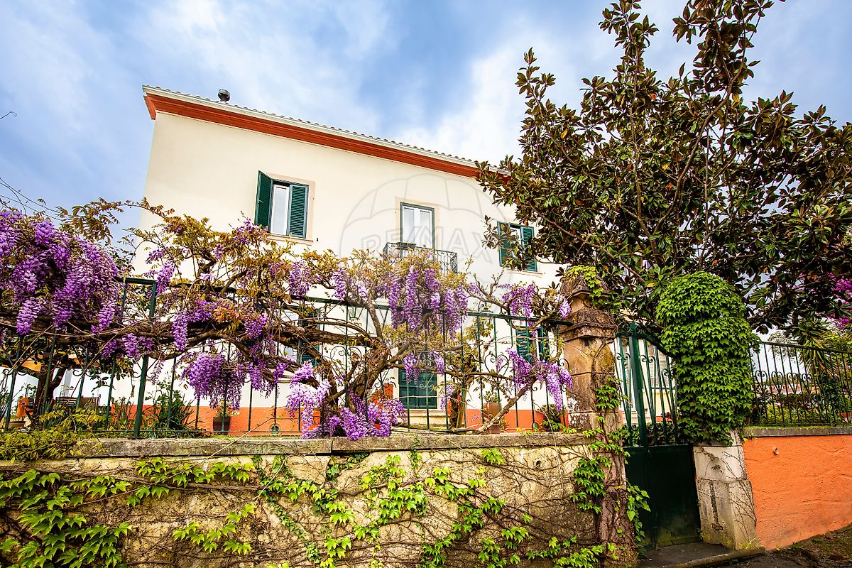 Quinta T21 à venda em Ferreira do Zêzere