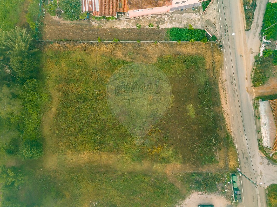 Terreno - Paialvo, Tomar, Santarém