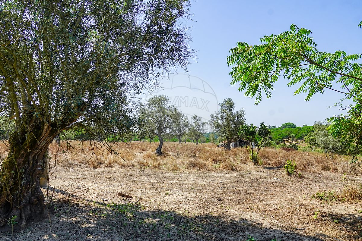 Moradia T5 à venda em Cortiçadas de Lavre e Lavre, Montemor-o-Novo — foto 10