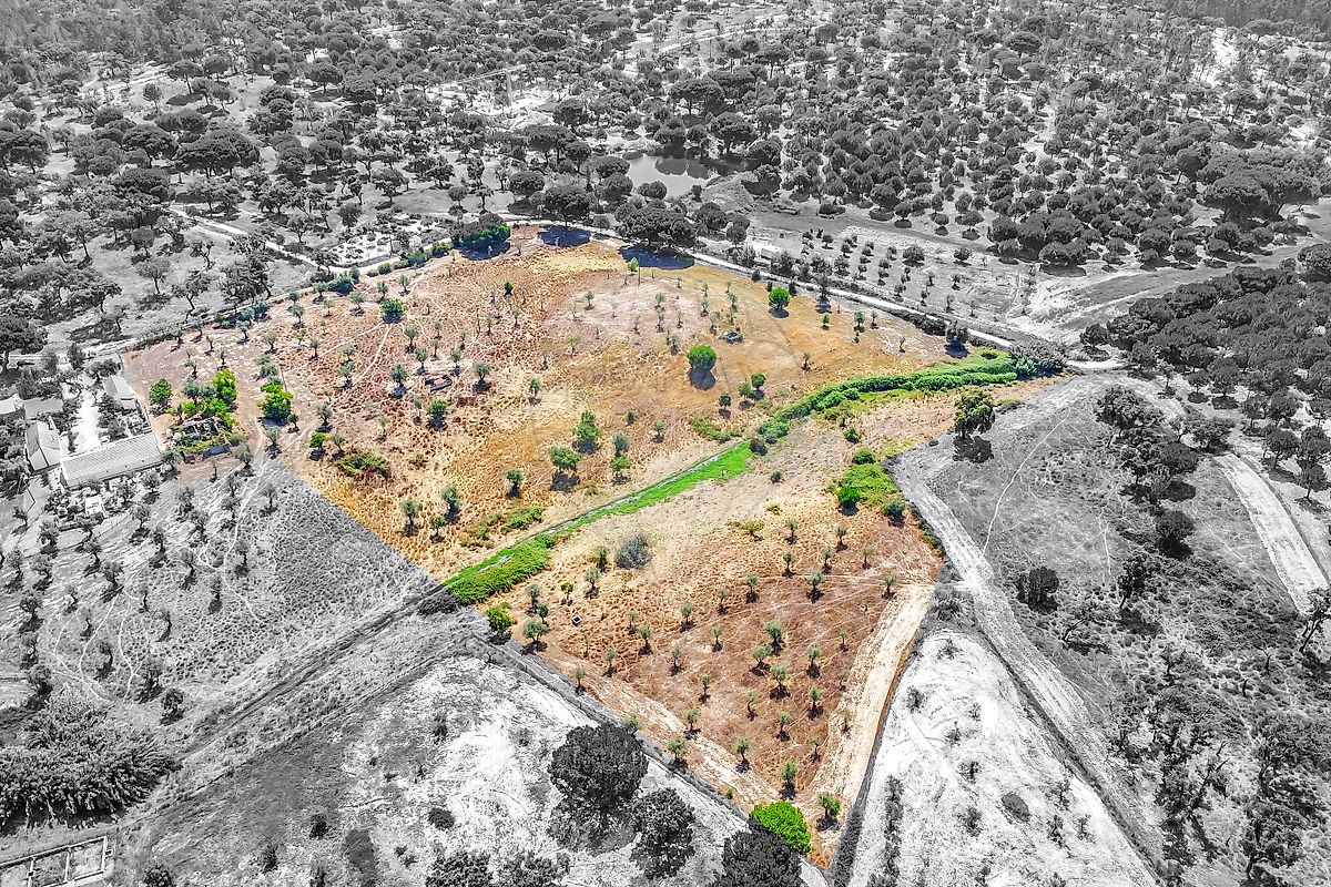 Moradia - Cortiçadas de Lavre e Lavre, Montemor-o-Novo, Évora