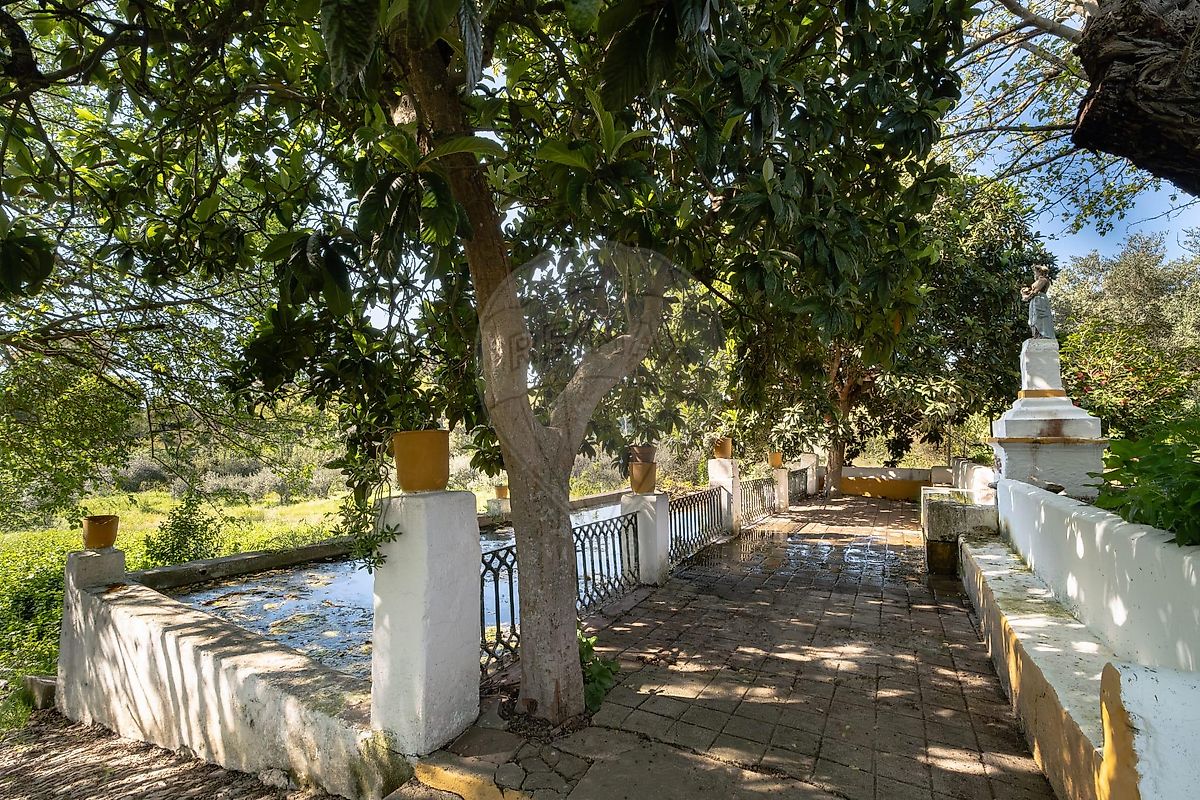 Moradia T6+ à venda em Nossa Senhora da Expectação, Campo Maior — foto 25