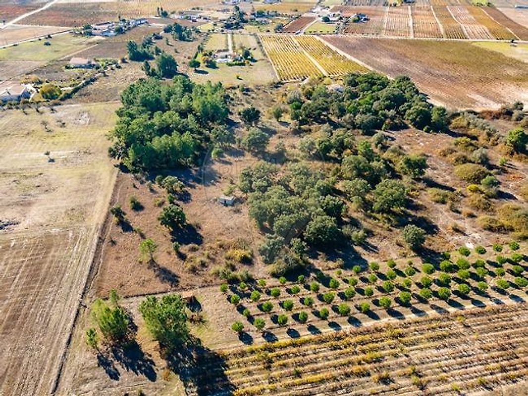 Terreno - Poceirão e Marateca, Palmela, Setúbal