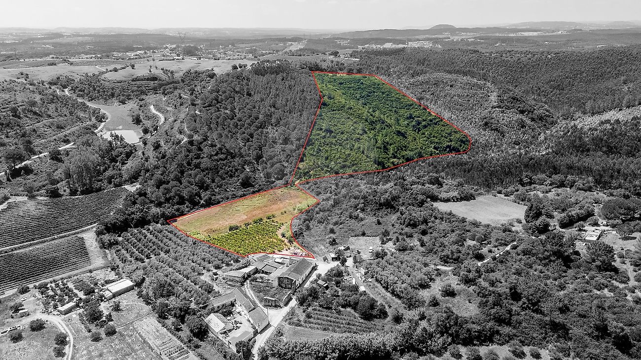 Terreno - Alcoentre, Azambuja, Lisboa