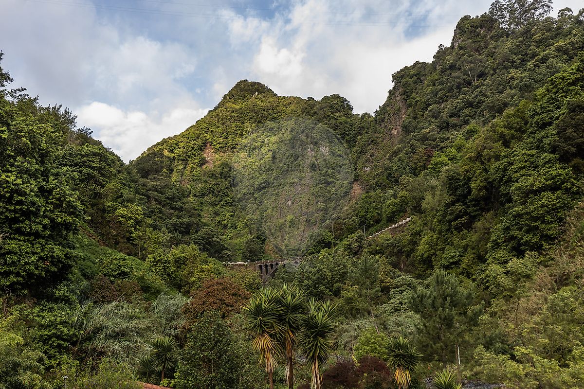 Moradia T5 à venda em São Roque do Faial, Santana — foto 34