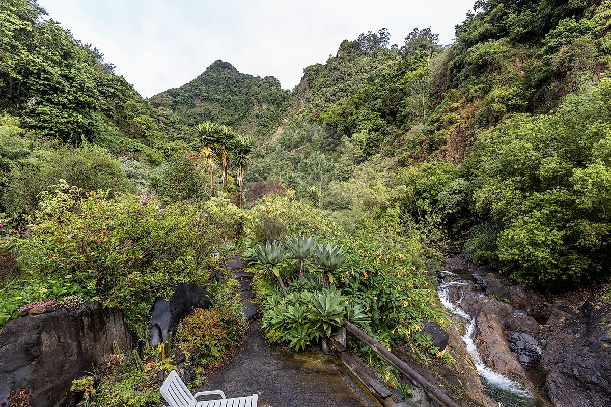 Moradia T5 à venda em São Roque do Faial, Santana — foto 31