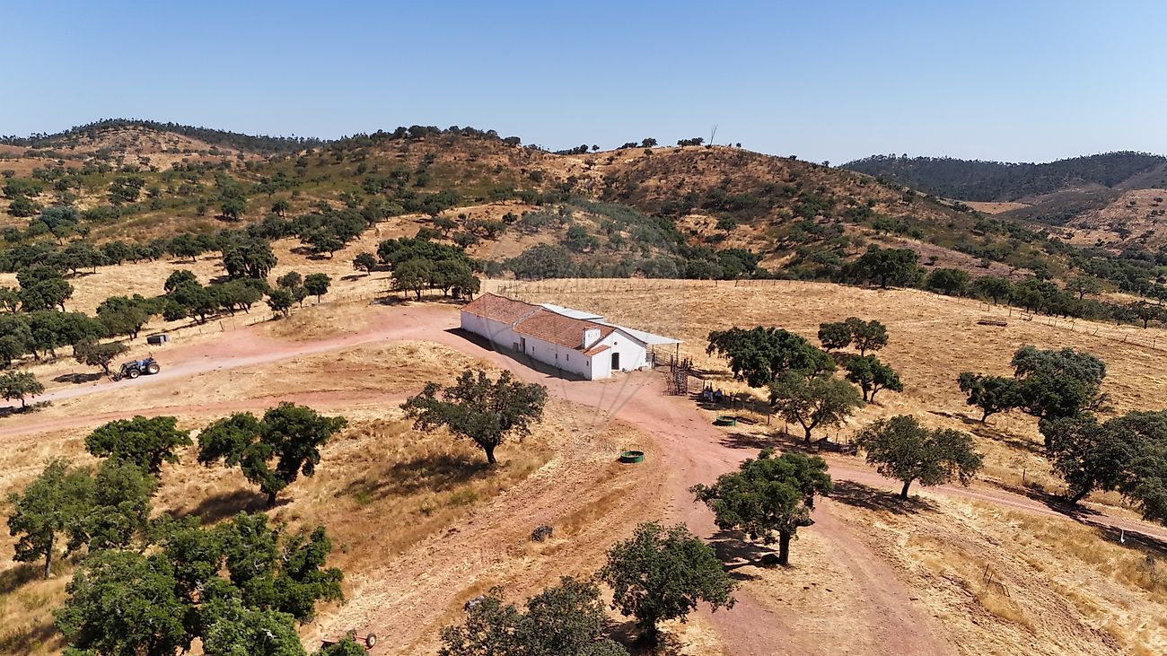 Quinta T4 à venda em Évora