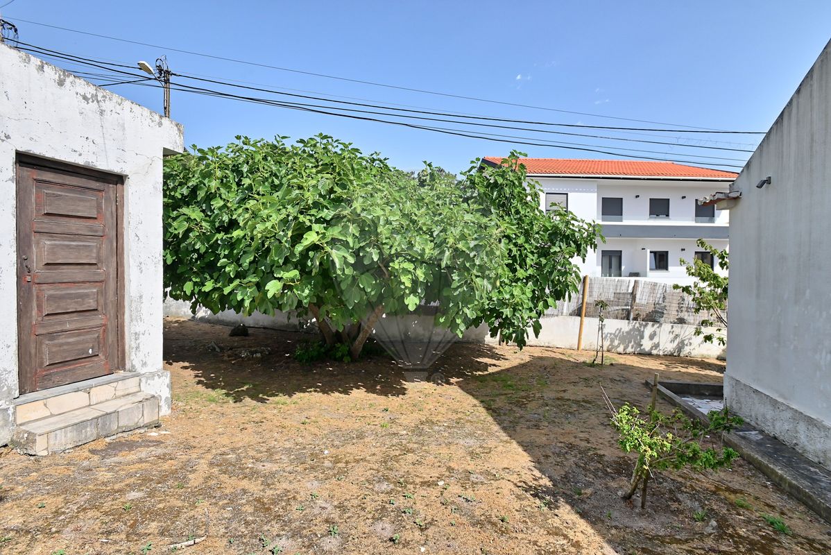 listing 123761152-52 picture-0