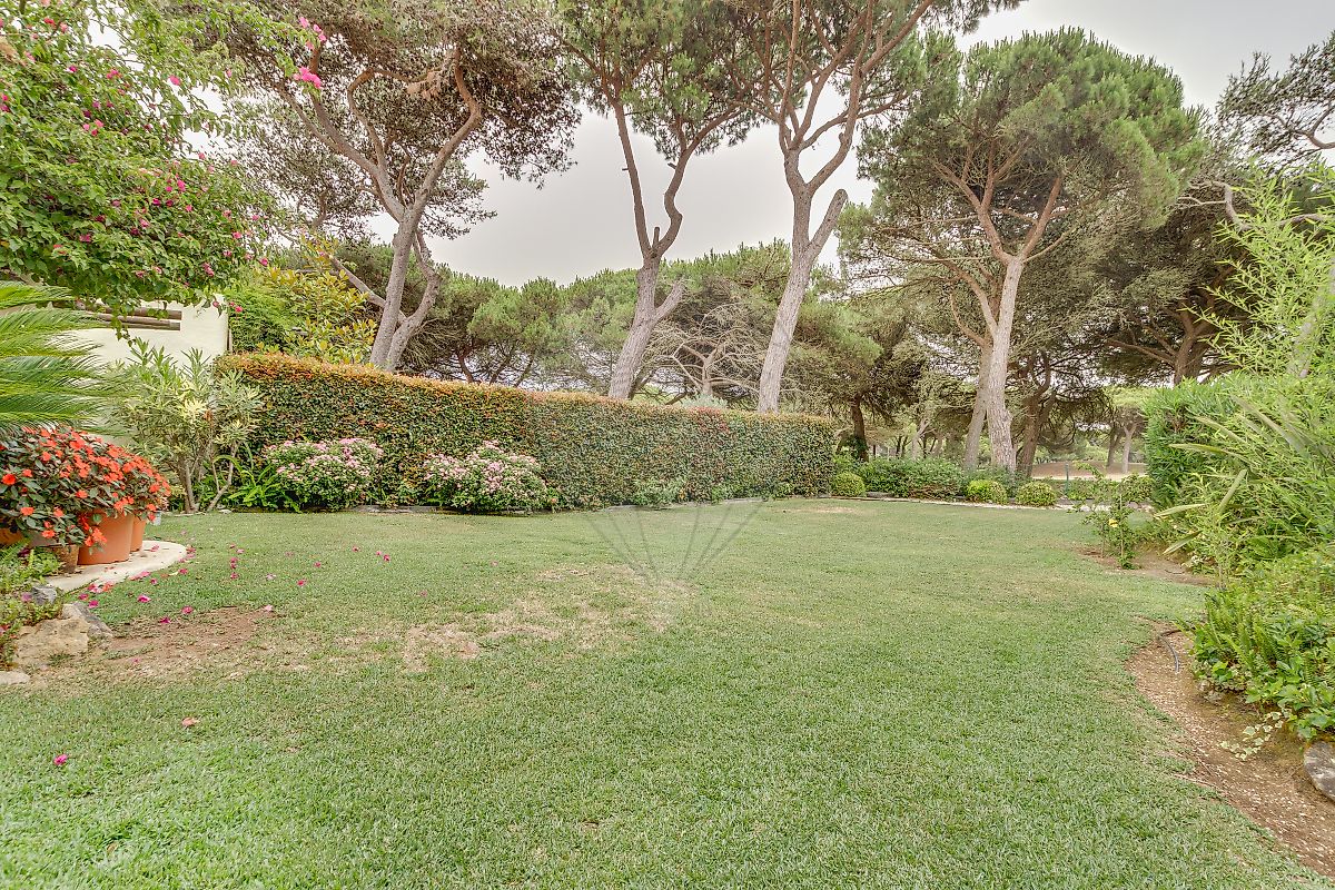 listing 123761281-34 picture-0
