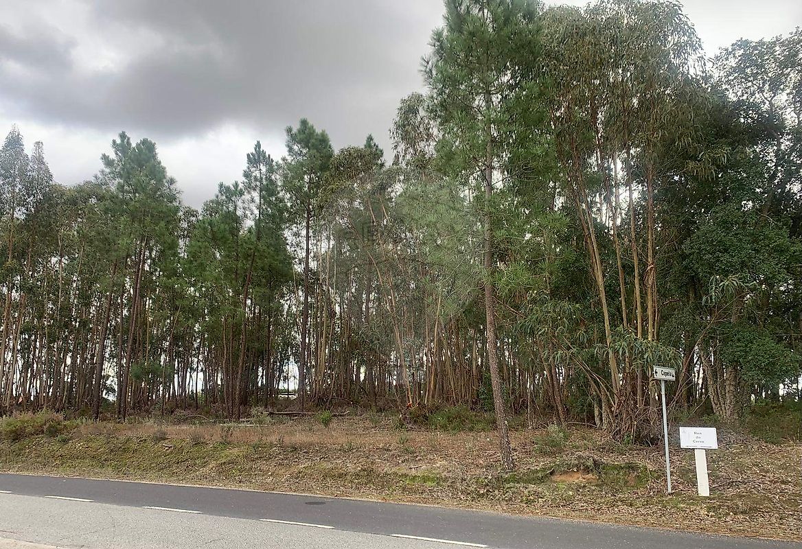 Terreno à venda em Coruche