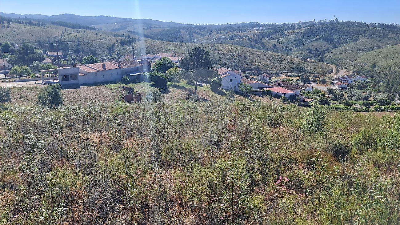 listing-picture-0