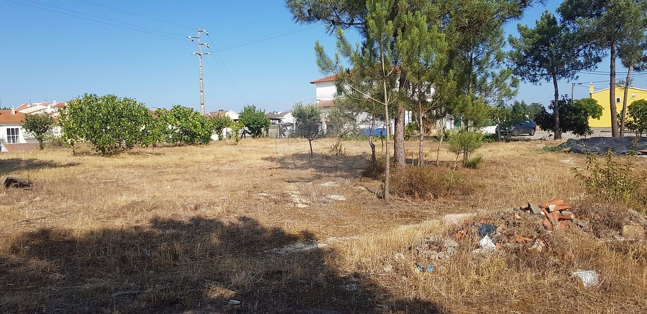 listing-picture-0