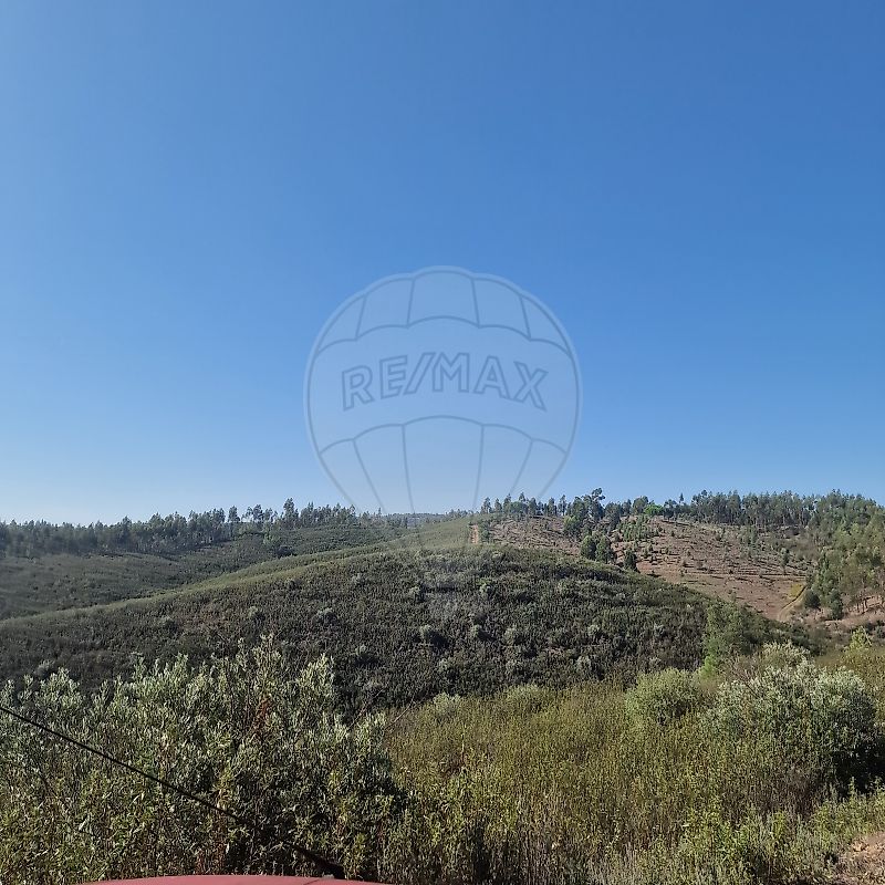 Terreno à venda em Mação