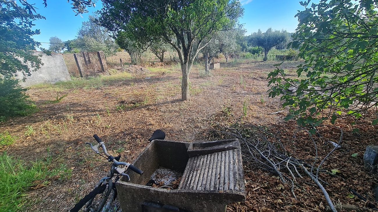 listing-picture-0
