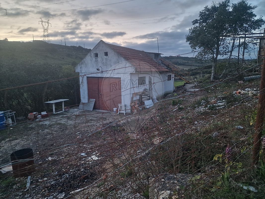 listing-picture-0