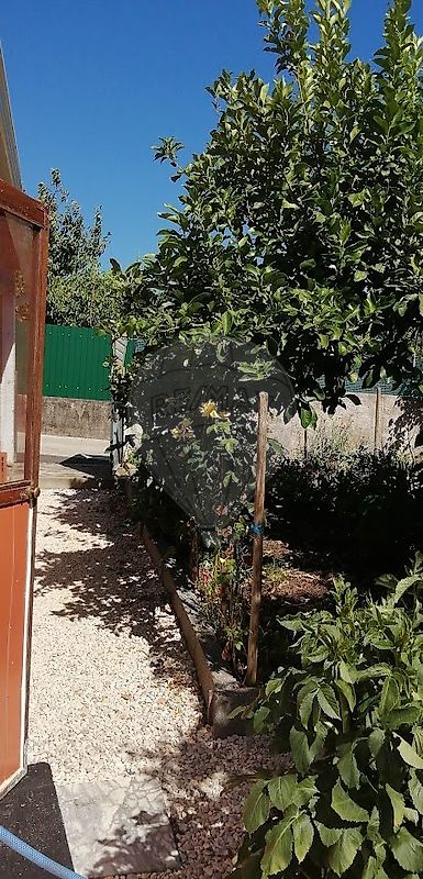 TODO