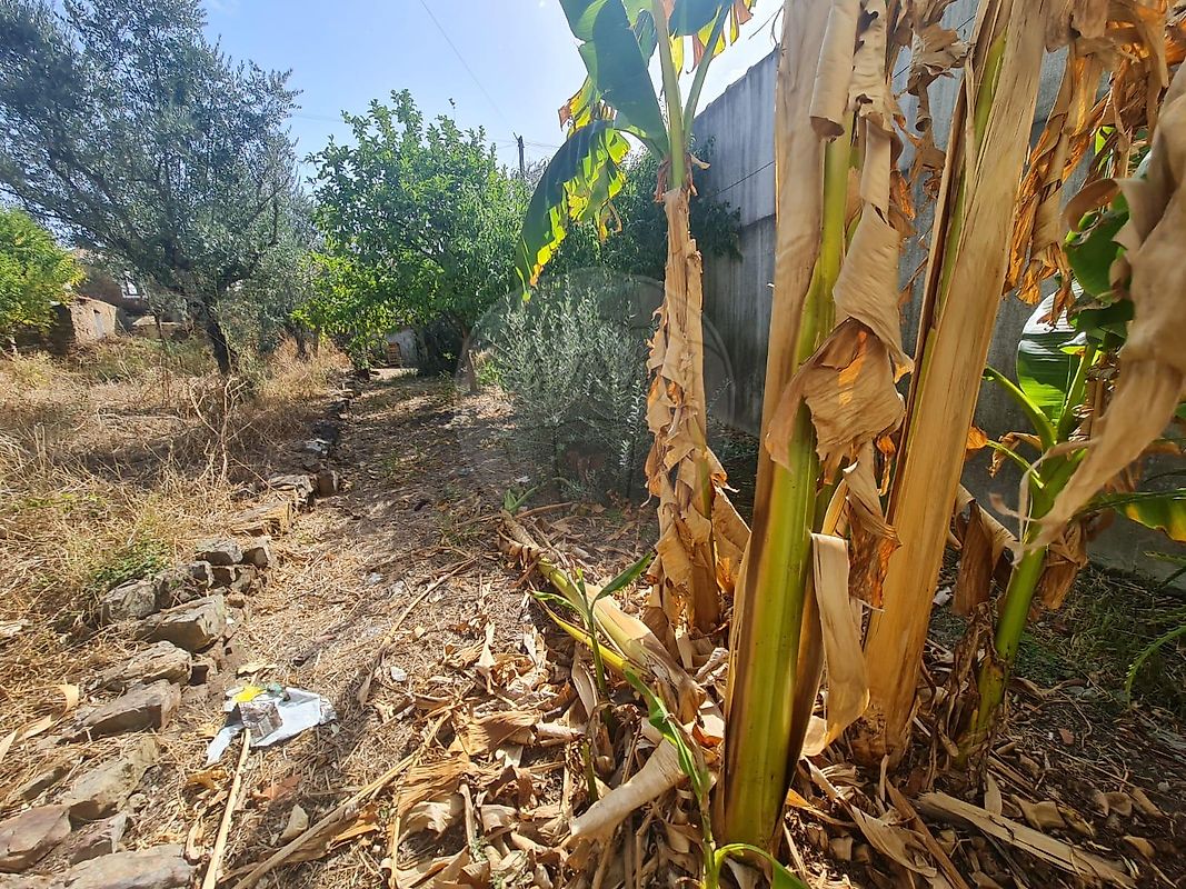 Moradia T4 à venda em Mação, Penhascoso e Aboboreira, Mação — foto 21