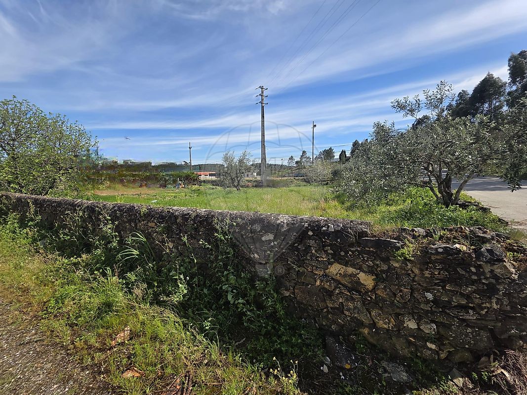 Terreno - Envendos, Mação, Santarém