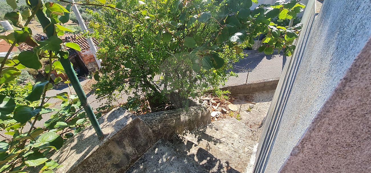 Moradia T4 à venda em Envendos, Mação — foto 14
