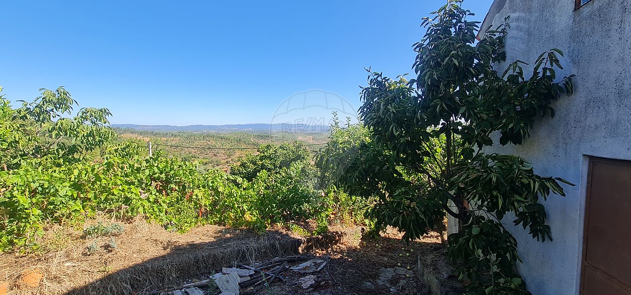 Moradia T4 à venda em Envendos, Mação — foto 32