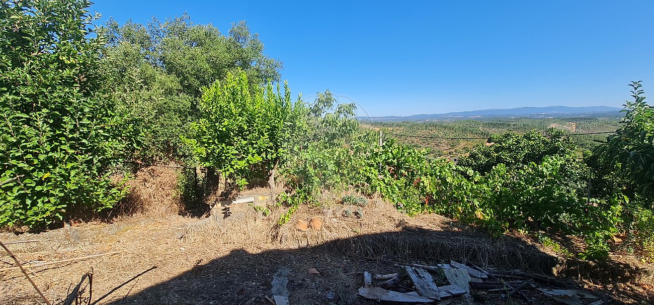 Moradia T4 à venda em Envendos, Mação — foto 33