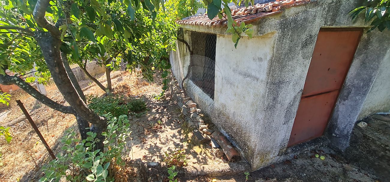 Moradia T4 à venda em Envendos, Mação — foto 28